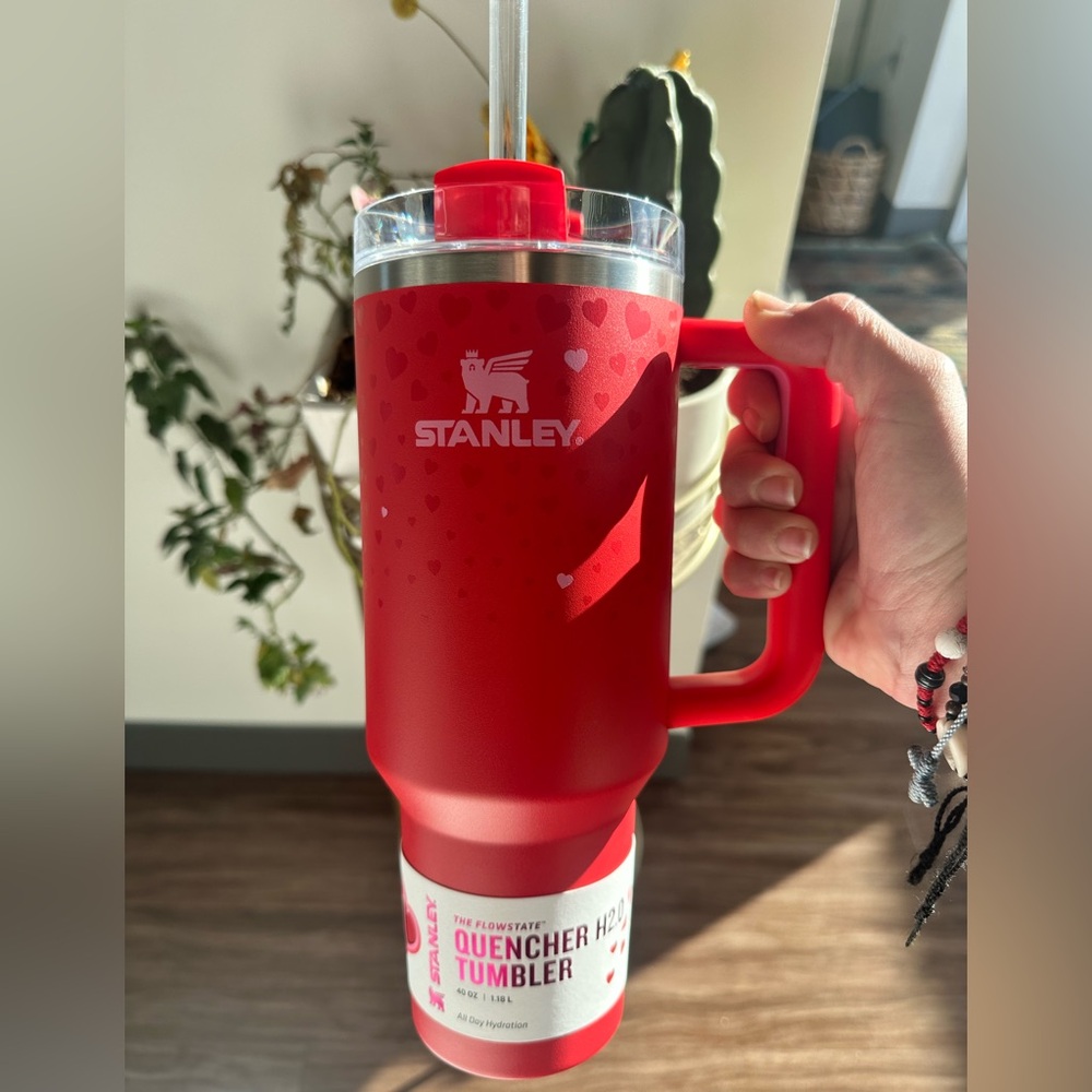 Stanley 2025 Valentine's Day 40oz quencher tumblr